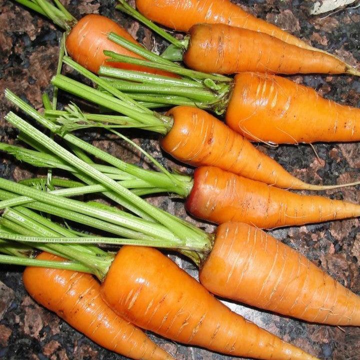 Veggies
