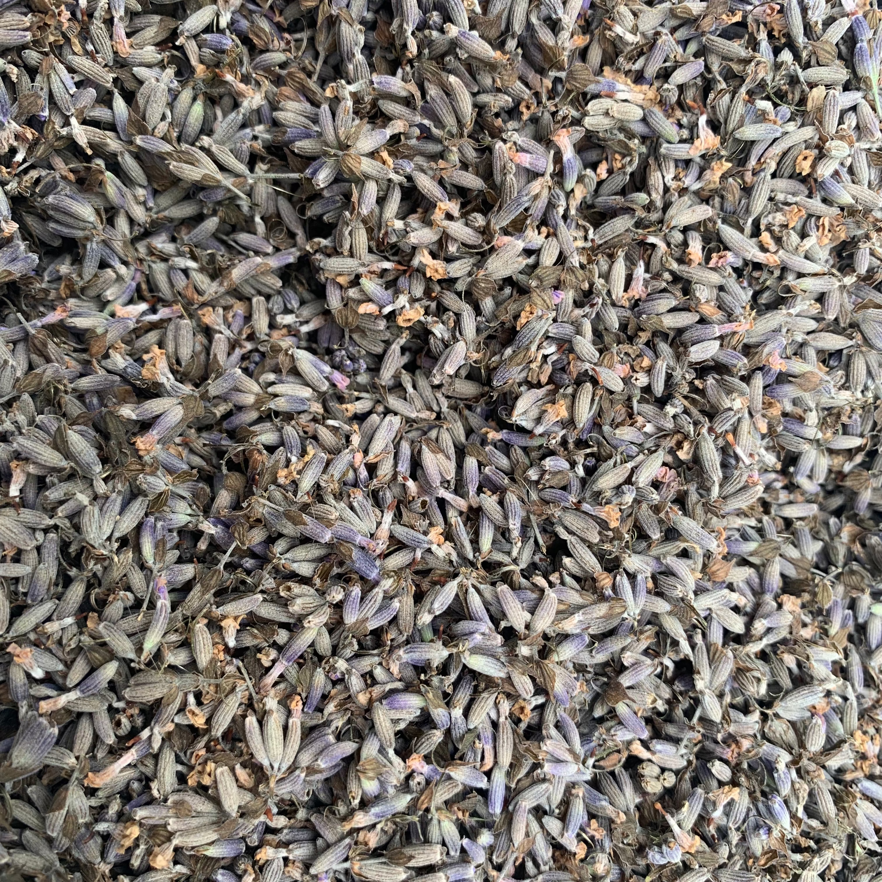 Lavender Sachets