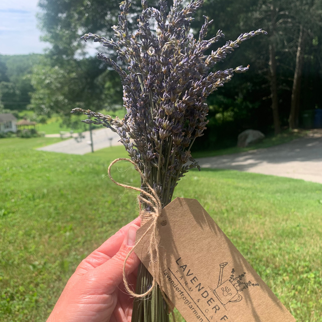 Dried Lavender Bunch