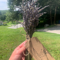 Dried Lavender Bunch