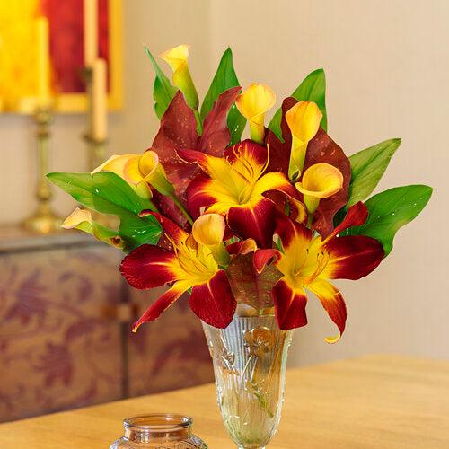 Hemerocallis 'Ruby Spider'  - Rainbow Rhythm® Ruby Spider Daylily
